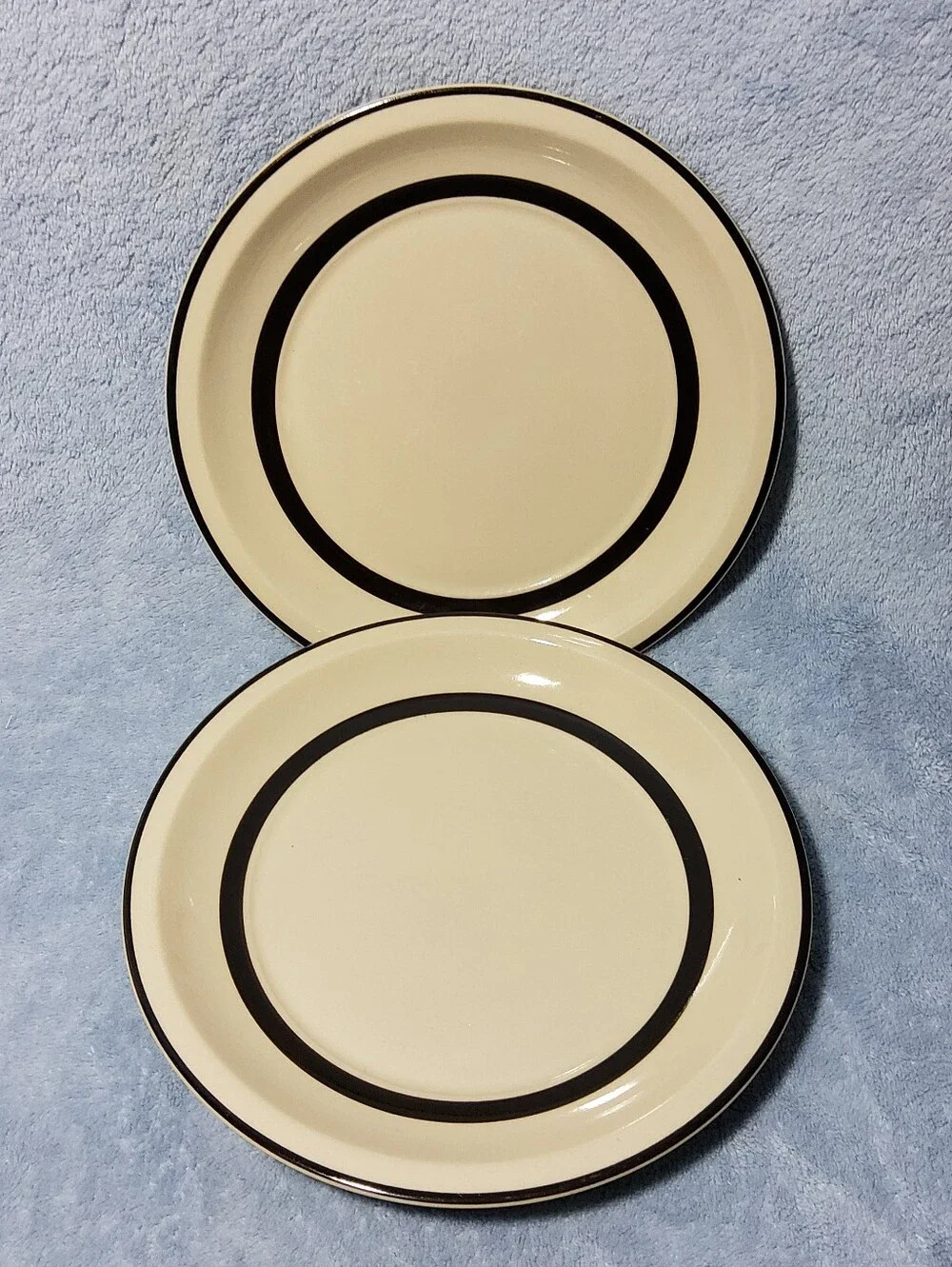 2 Chipped Vintage Sears Berry Band 7-3/4